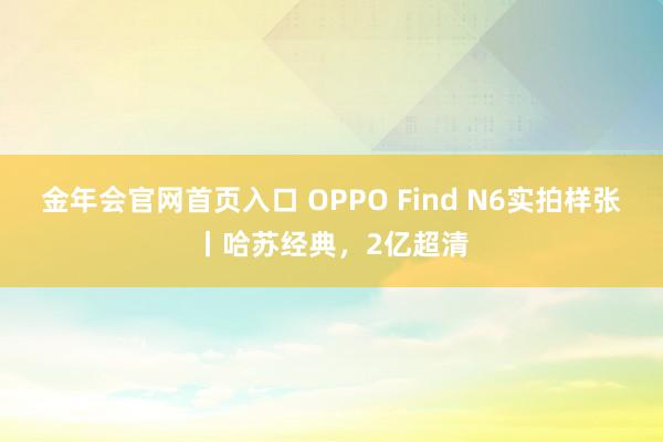 金年会官网首页入口 OPPO Find N6实拍样张丨哈苏经典，2亿超清