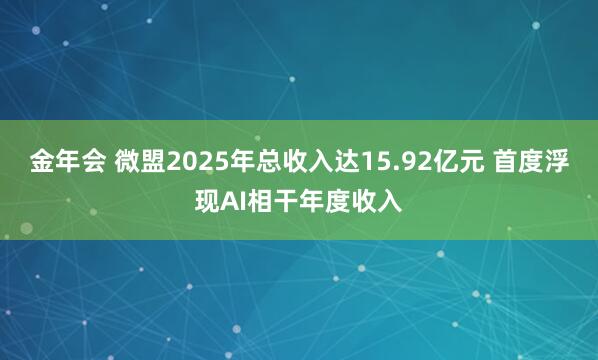 金年会 微盟2025年总收入达15.92亿元 首度浮现AI相干年度收入