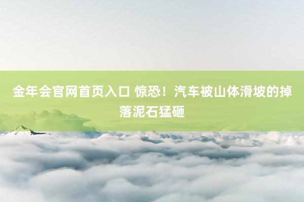 金年会官网首页入口 惊恐！汽车被山体滑坡的掉落泥石猛砸