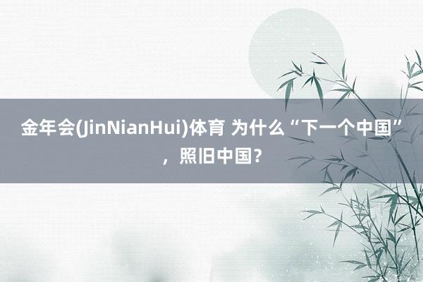 金年会(JinNianHui)体育 为什么“下一个中国”，照旧中国？