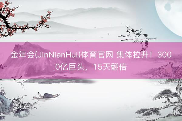 金年会(JinNianHui)体育官网 集体拉升！3000亿巨头，15天翻倍