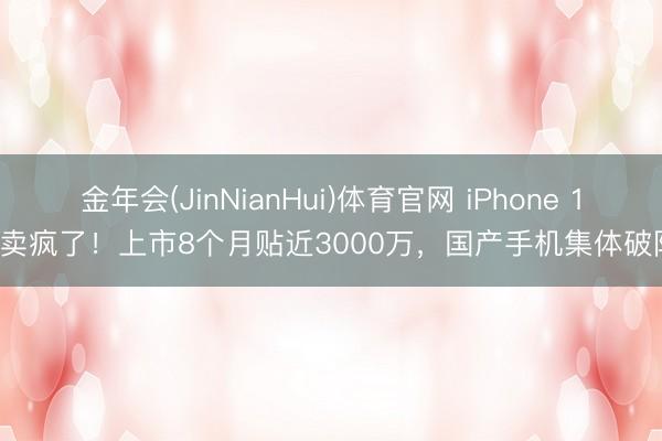 金年会(JinNianHui)体育官网 iPhone 17卖疯了！上市8个月贴近3000万，国产手机集体破防