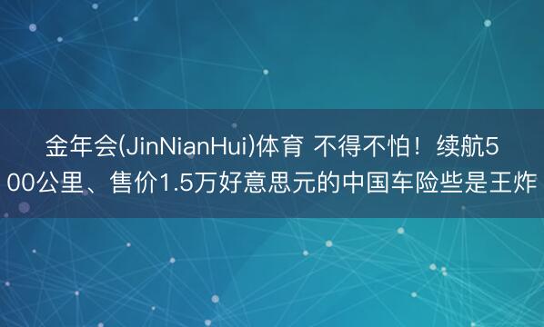 金年会(JinNianHui)体育 不得不怕！续航500公里、售价1.5万好意思元的中国车险些是王炸