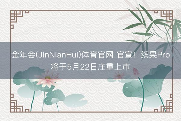 金年会(JinNianHui)体育官网 官宣！缤果Pro将于5月22日庄重上市