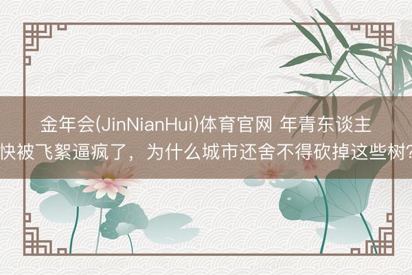 金年会(JinNianHui)体育官网 年青东谈主快被飞絮逼疯了，为什么城市还舍不得砍掉这些树？